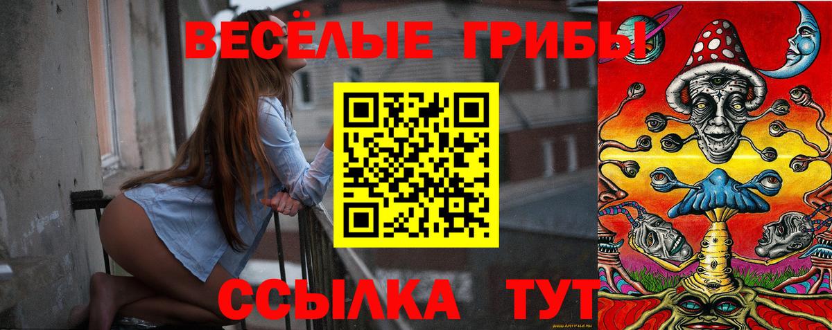 Саяногорск  Галлюциногенные грибы ЛСД  Вход с VPN 